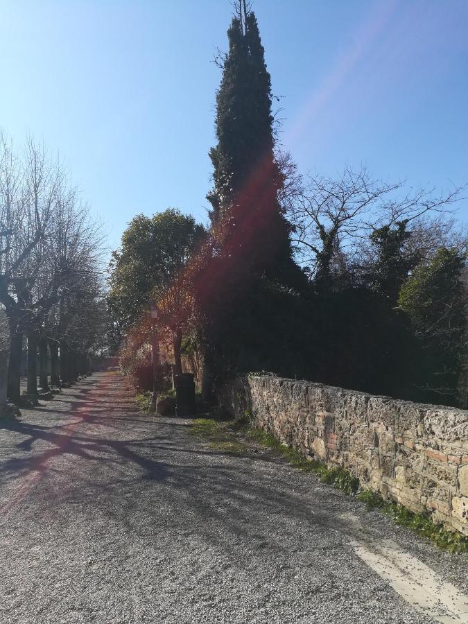 La Terrazza Διαμέρισμα Κιούζι Εξωτερικό φωτογραφία